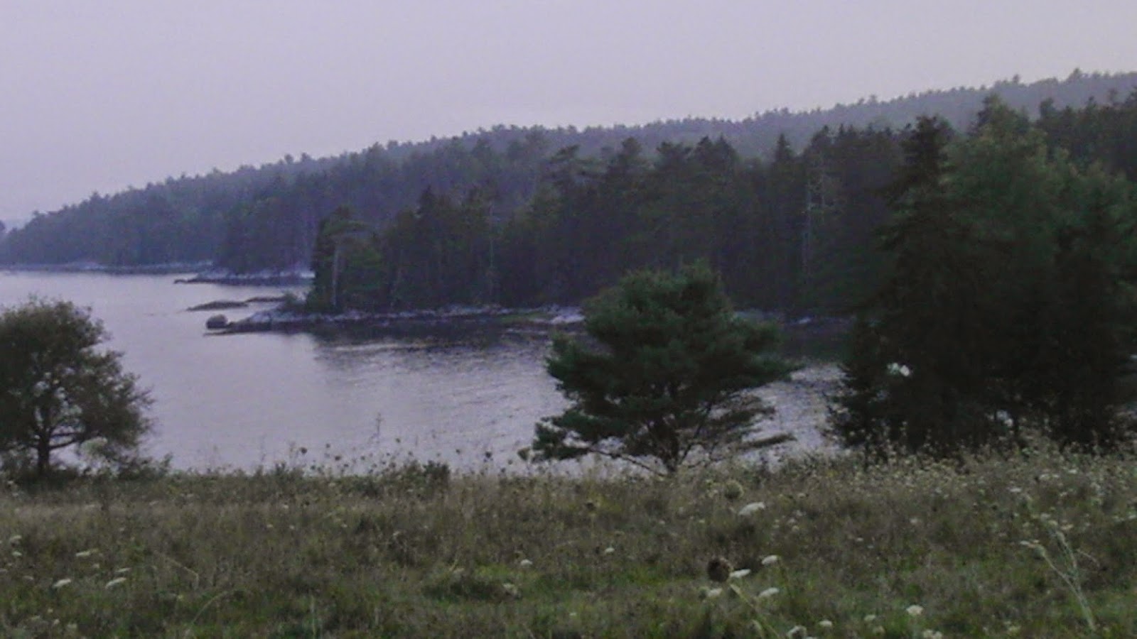 Sara Lynne's Kitchen