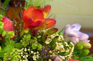 Bunga Freesia gambar Bunga Freesia gambar