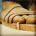How well do you know the Statue of Unity? top 6 points