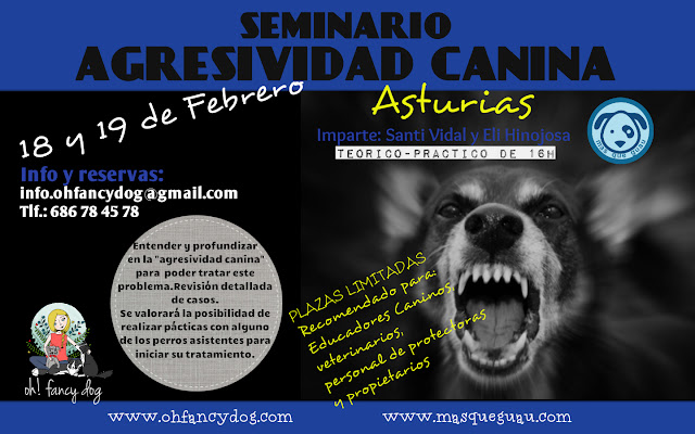 seminario agresividad canina asturias mas que guau oh fancy dog