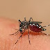 SAÚDE / Sesab já registrou mais de 94 mil casos suspeitos de dengue, zika e chikungunya