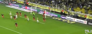 7.gif