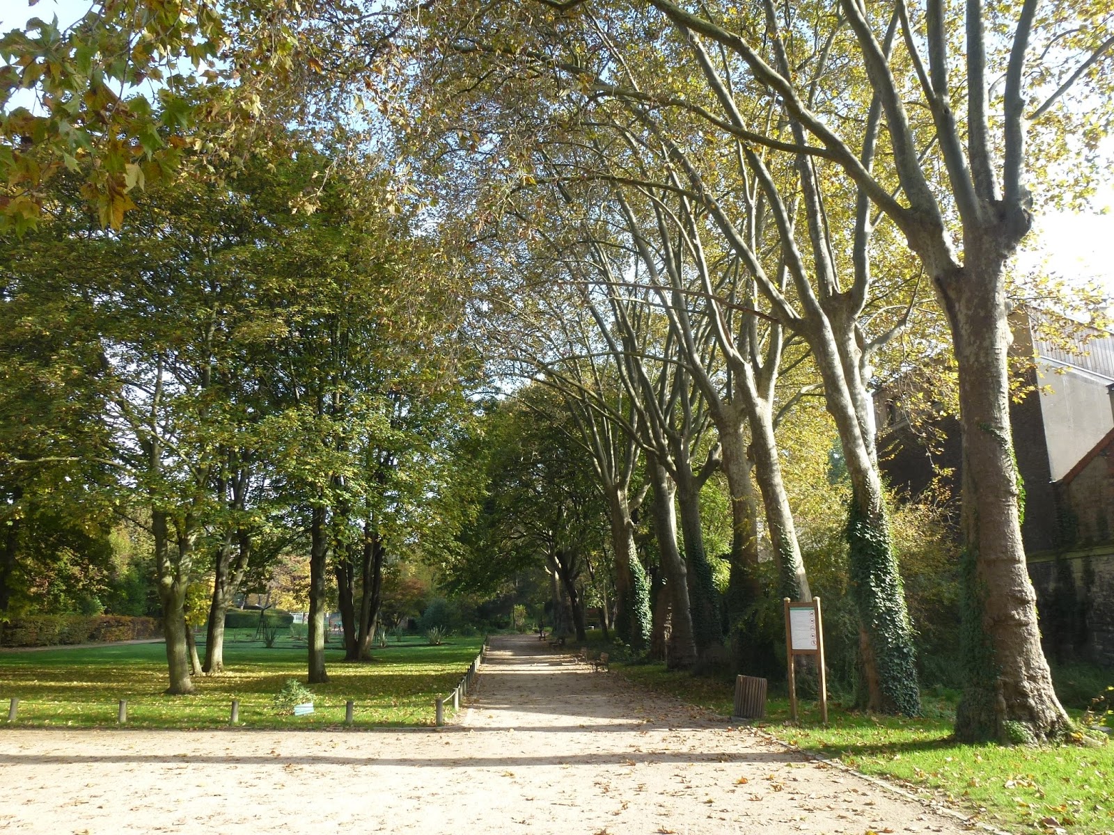 J'habite à SaintDenis Que voulonsnous pour notre ville ? Le parc de