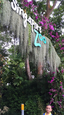 Gerbang bunga Anggrek Singapore Zoo