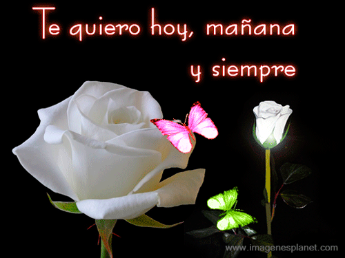 Imagenes De Amor Bonitas Y Romanticas Con Movimiento | imagenes bonitas de amor con movimiento im 225 genes de amor Imagenes De Amor Bonitas Y Romanticas Con Movimiento | imagenes bonitas de amor con movimiento im 225 genes de amor