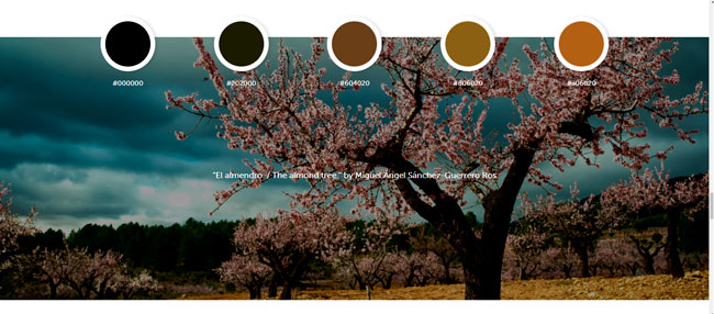 inspiracion en color inspiracion_en_color