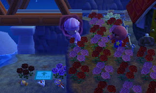 Animal Crossing New Leaf Remove Shoes Animal Crossing New Leaf Remove Shoes
