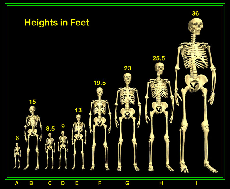 10. The Nephilim: Modern Sightings and Claims of Blonde-Haired Giants - wide 6