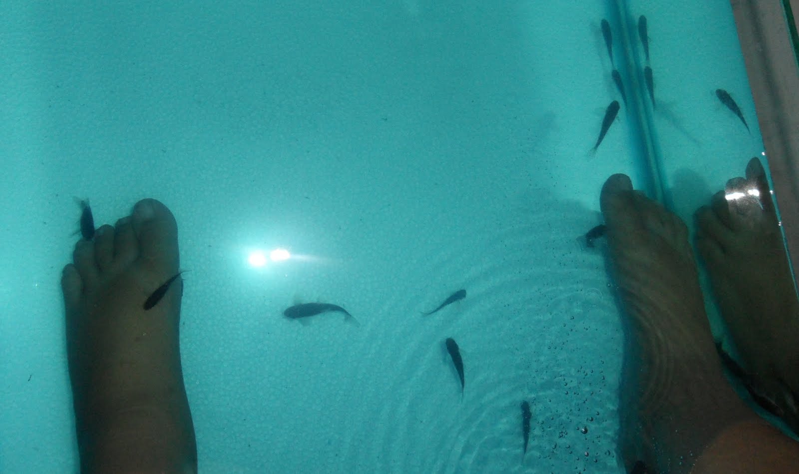 khakiness Davao's First Fish Foot Spa