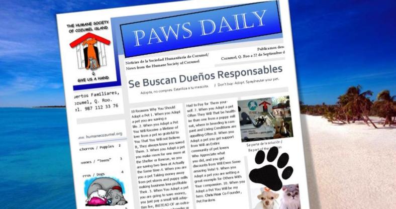 Paws Daily
