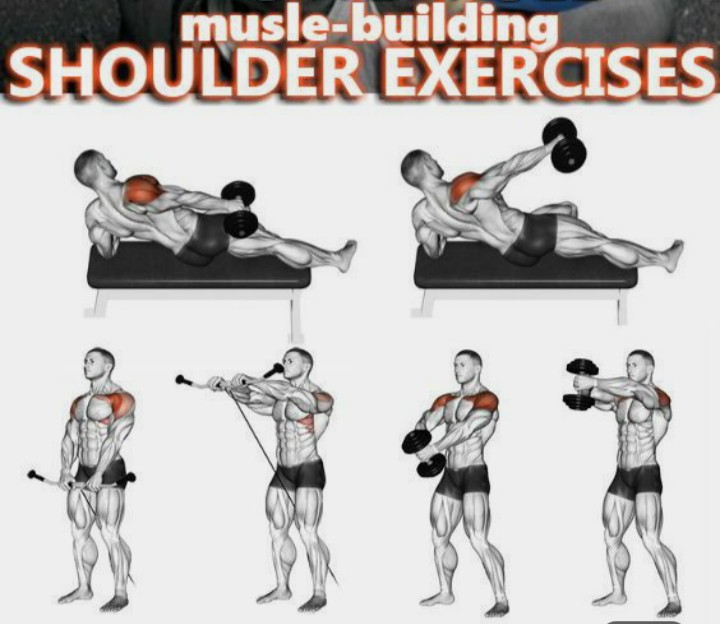 Best Exercise for Shoulder Deltoid Muscles