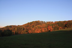 Fall at Almost Heaven South