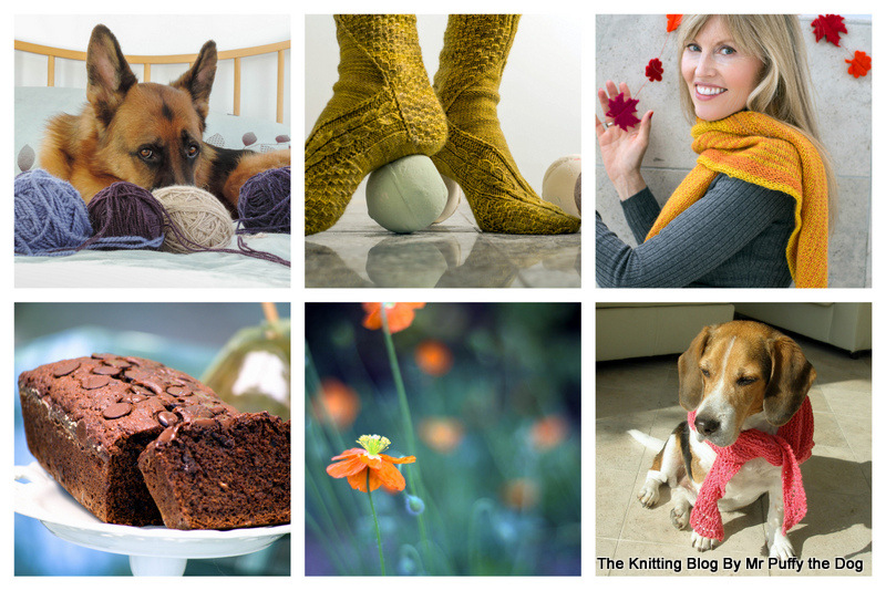 The Knitting Blog by Mr. Puffy the Dog