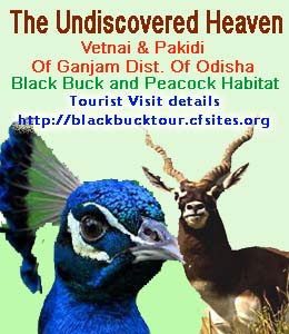 Blackbuck &Peacock Eco-Tourism