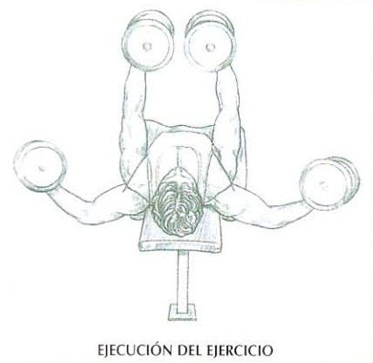 Forma de ejecutar las aperturas con mancuernas