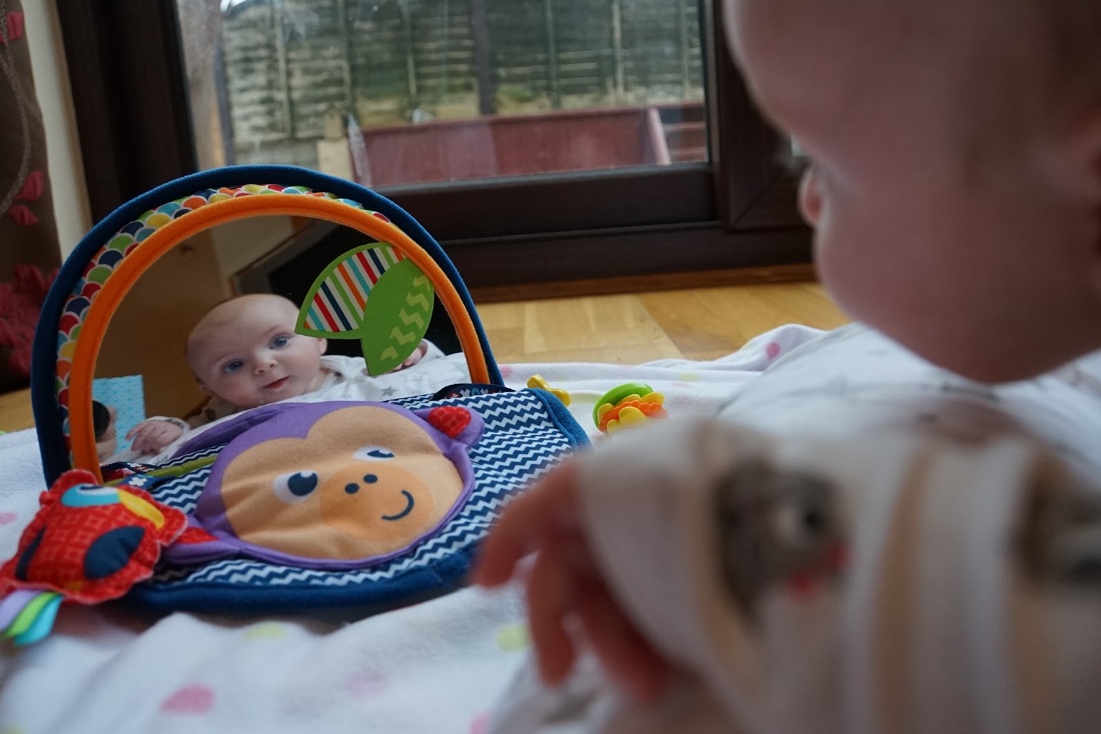 fisher price monkey mirror argos