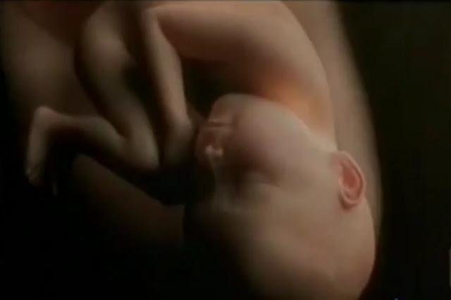 Baby-in-the-womb