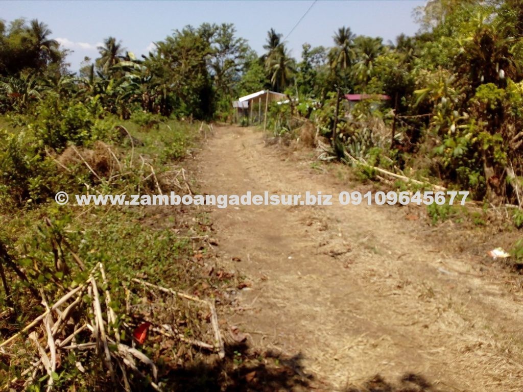 Zamboanga del Sur Properties FOR SALE 1,600 SQ.M LOT AT PAGADIAN CITY