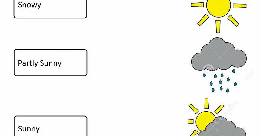The City School: Grade 4 Science Reinforcement Worksheet