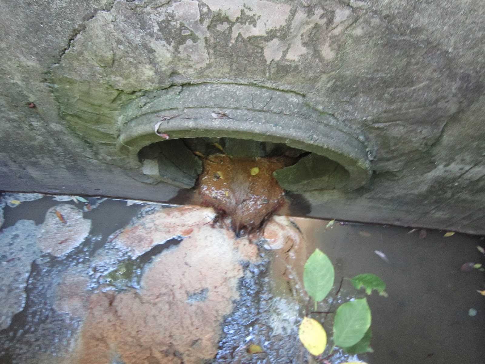 Superior Stormwater: Illicit Discharge