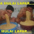 Kumpulan Gambar dan Koleksi Foto lucu Lagi Lapar Terbaru
