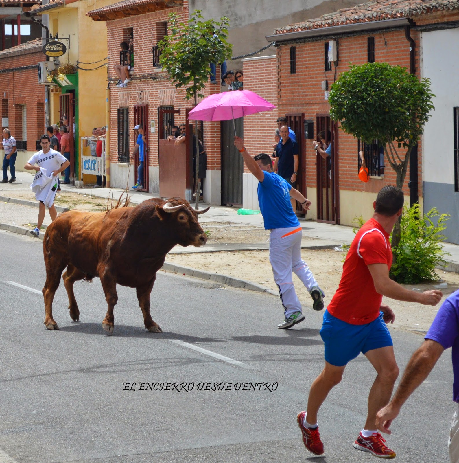 . La Seca (Valladolid), encierro del domingo 3 de Agosto