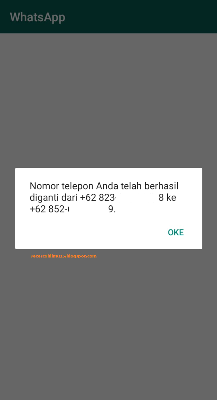 nomor telepon wa