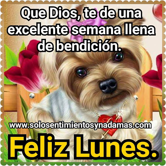 Feliz lunes.