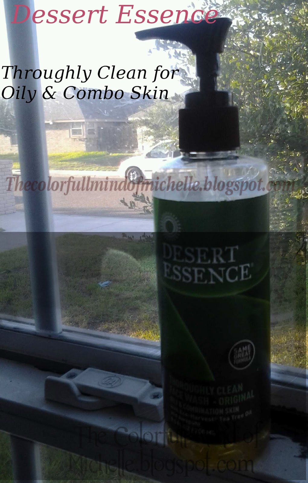Mind of Michelle Desert Essence Thoroughly Clean Face Wash For skinreview