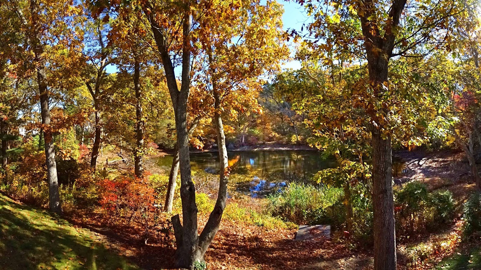 Joe's Retirement Blog Fall, Green Heron Pond, Manomet, Plymouth