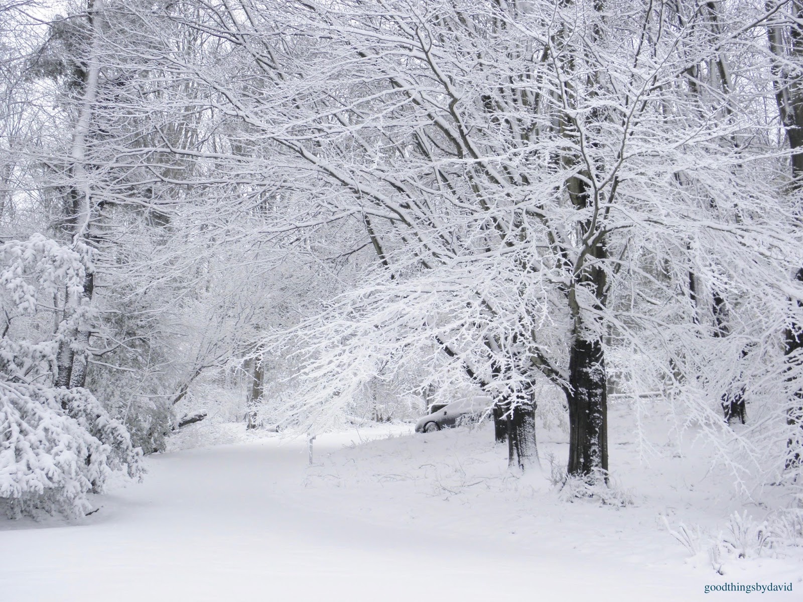 Good Things by David: The First Snowfall of 2017