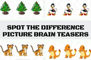 Picture Brain Teasers Questions: Spot the Difference