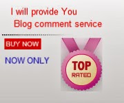 I will provide niche RELEVANT 5 High pr1 blog comment