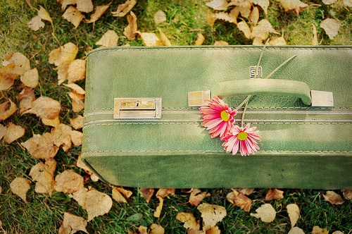 Do iT Like Coco: Luggage, Vintage and Retro.