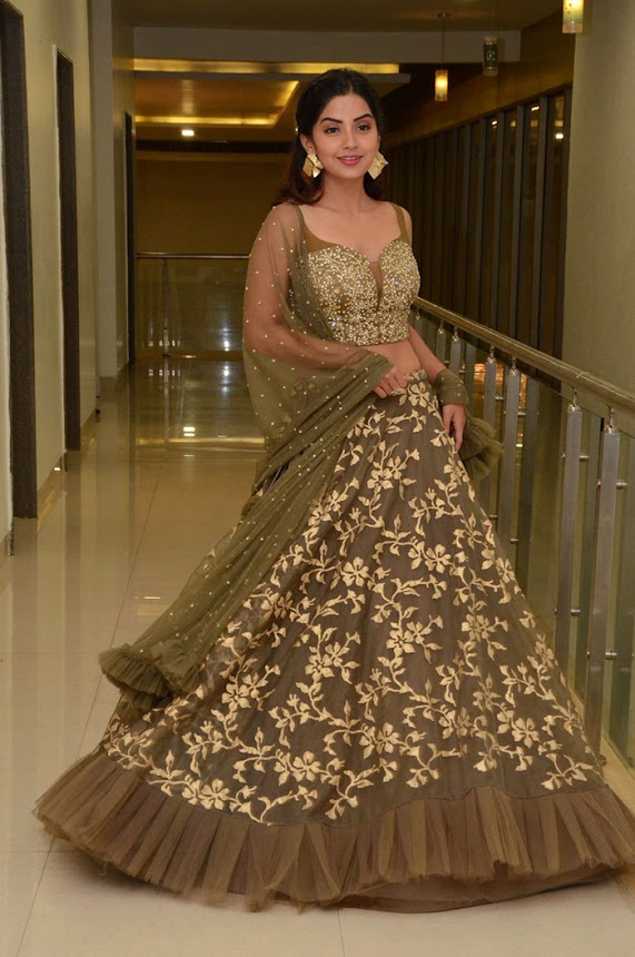 Kashmira Pardeshi at Narthanasala Pre-Release