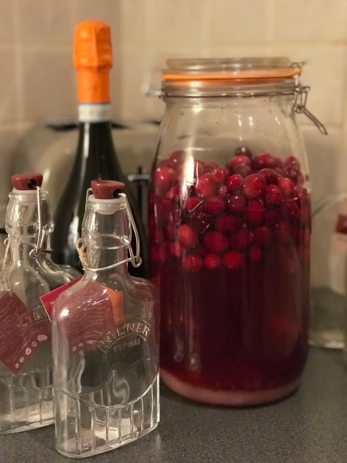 make your own Christmas Cranberry Gin