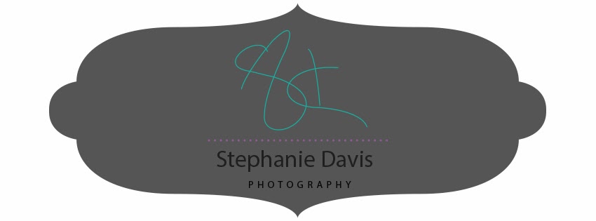 Stephanie Davis Photography
