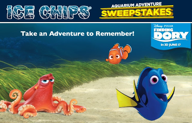 Ice Chips Aquarium Adventure Disney Sweepstakes Ice Chips Candy and Disney Pixar's Finding Dory want you to enter daily for your chance to win a trip for you and the kids to San Francisco with tickets to The Monterey Bay Aquarium & more!