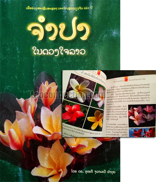 Lao book review:  Champa - written in Lao