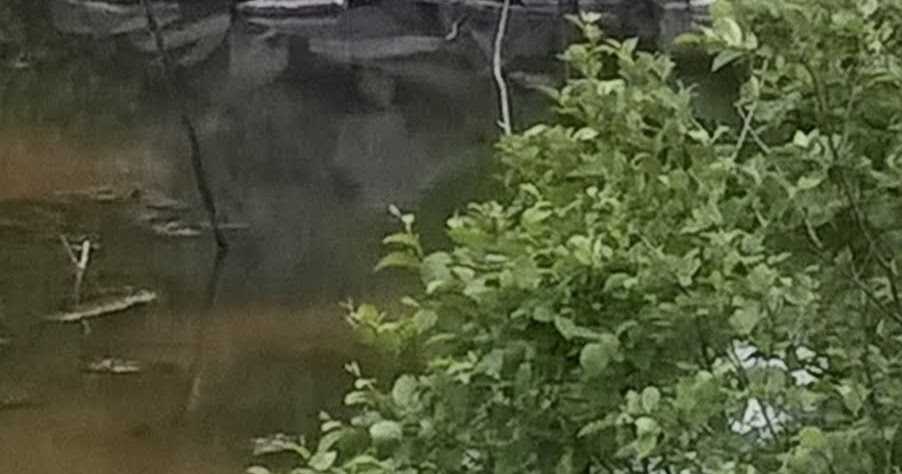 Lake Superior Rift Change: The Keweenawan Rift Seismic Activity: Fwd ...