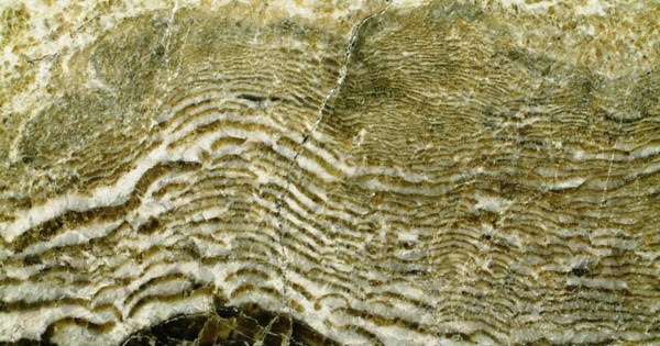 GéoOutaouais L'Eozoon canadense à CôteStPierre (corrections)