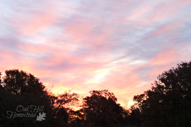 A cotton candy pink and blue sunrise