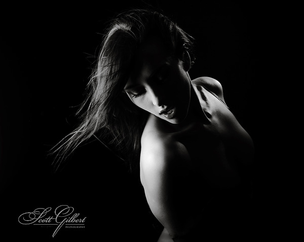Scott Gilbert Photography Nik Software Releases Silver