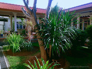 Courtyard Garden Of The Hospital At Sulanyah Village, Seririt, North Bali, Indonesia