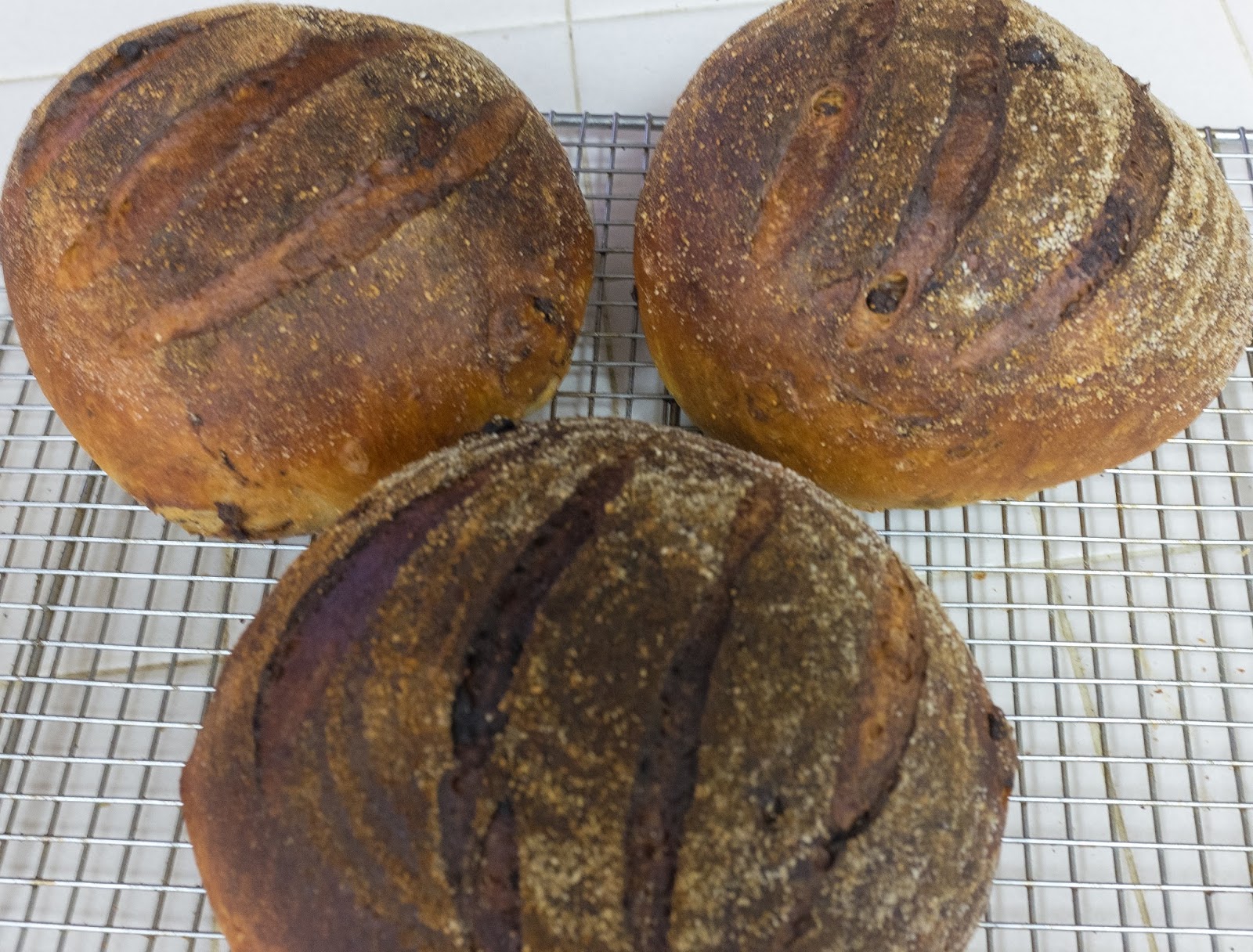 How to Order from My Fresh Bread Company