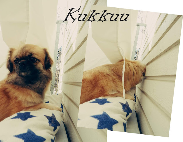 Virkattu pöllö unimaski.