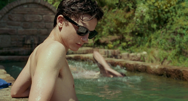Timothée Chalamet Call Me by Your Name