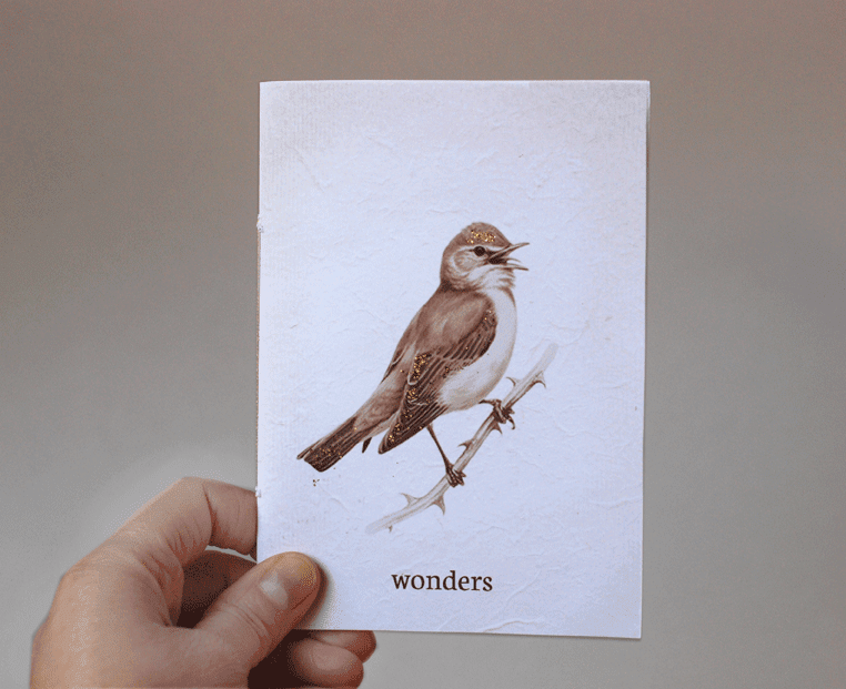 carnet_printable_hello_june_oiseau