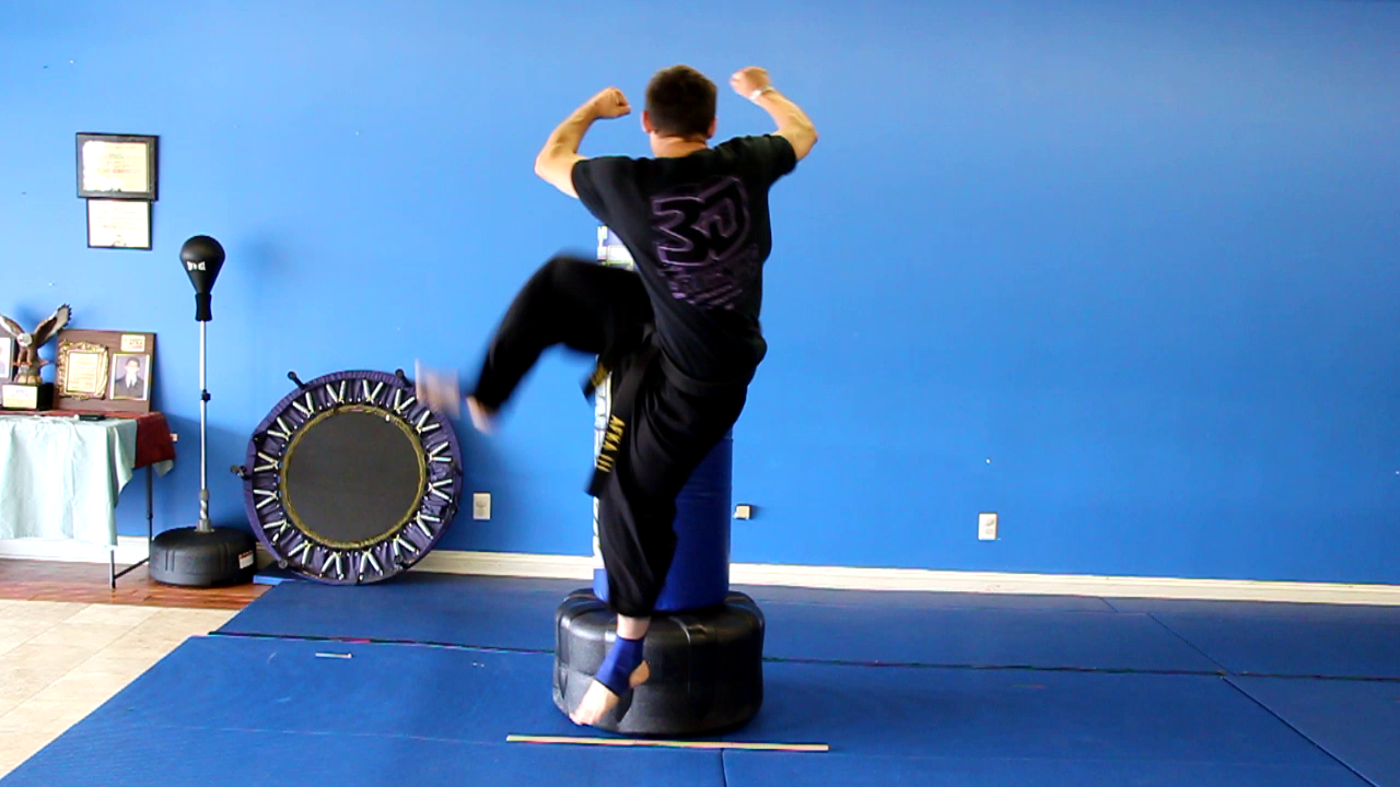 John Eric Goff's Blog Physics of a Jump Spin Reverse Crescent Kick