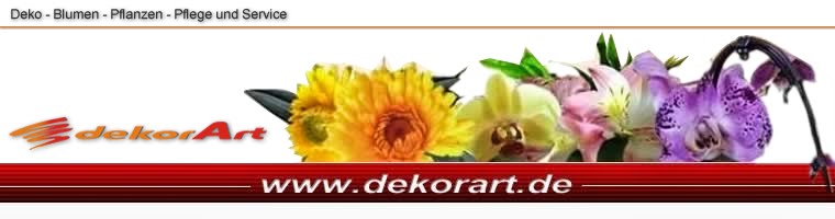 dekorart - Deko - Blumen - Pflanzen - Pflege und Service